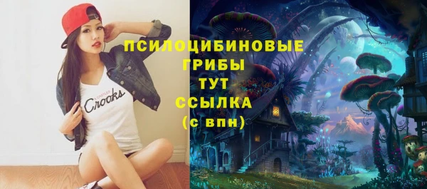 индика Россошь