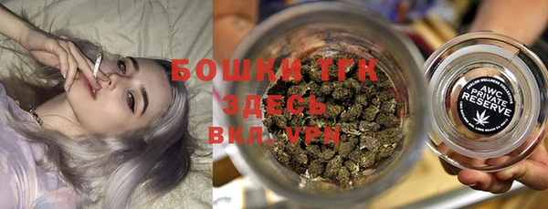 индика Россошь