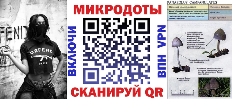 Псилоцибиновые грибы Psilocybe  Новотитаровская 